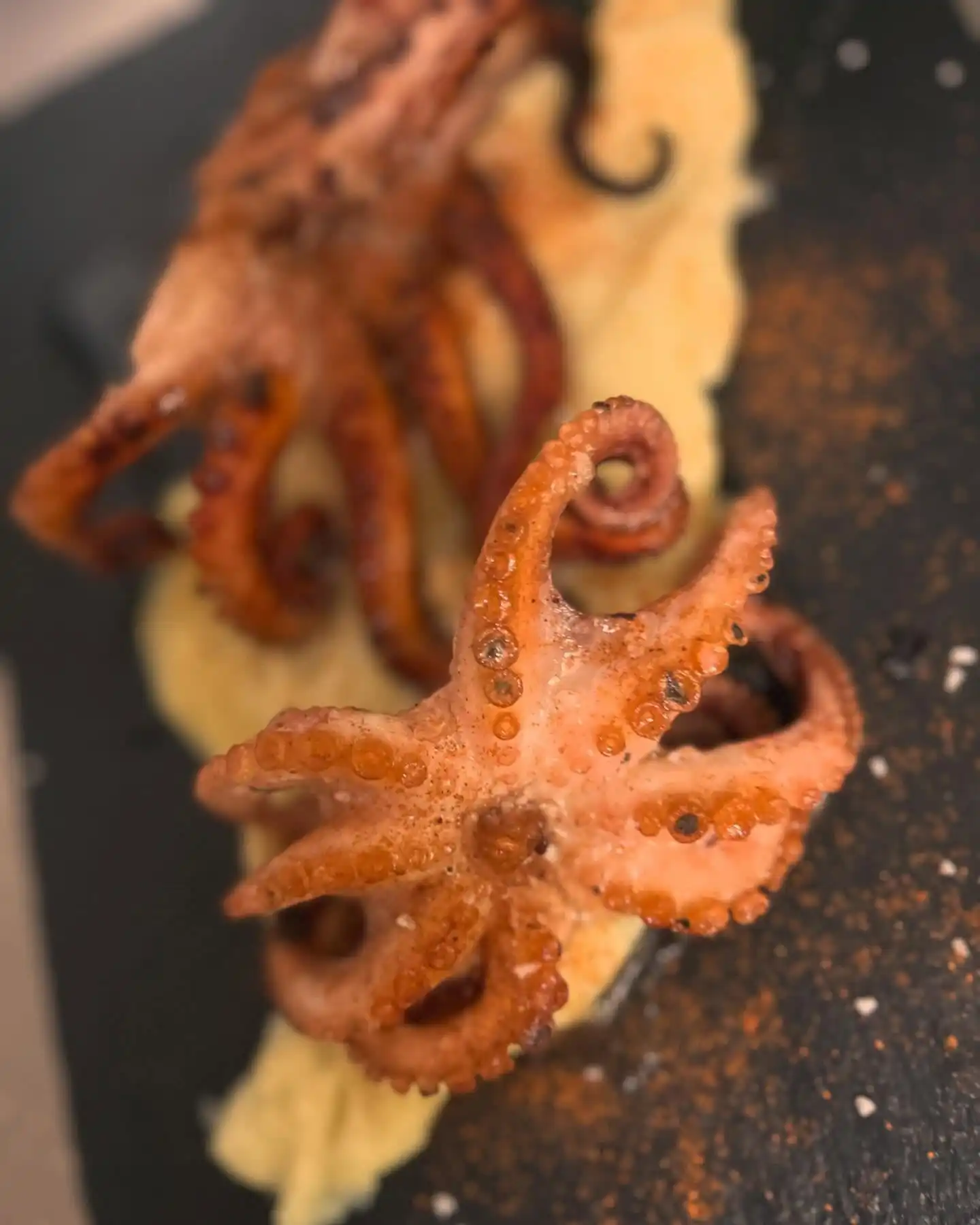 pulpo a la brasa con crema parmentier menu mediodia figueres restaurante eixampl