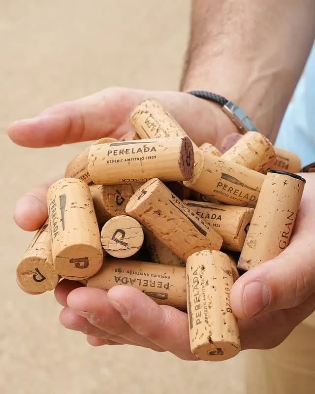 Corchos de vinos Perelada en Celler 1923, wine bar y restaurante en el corazón de la Bodega Perelada, Girona.
