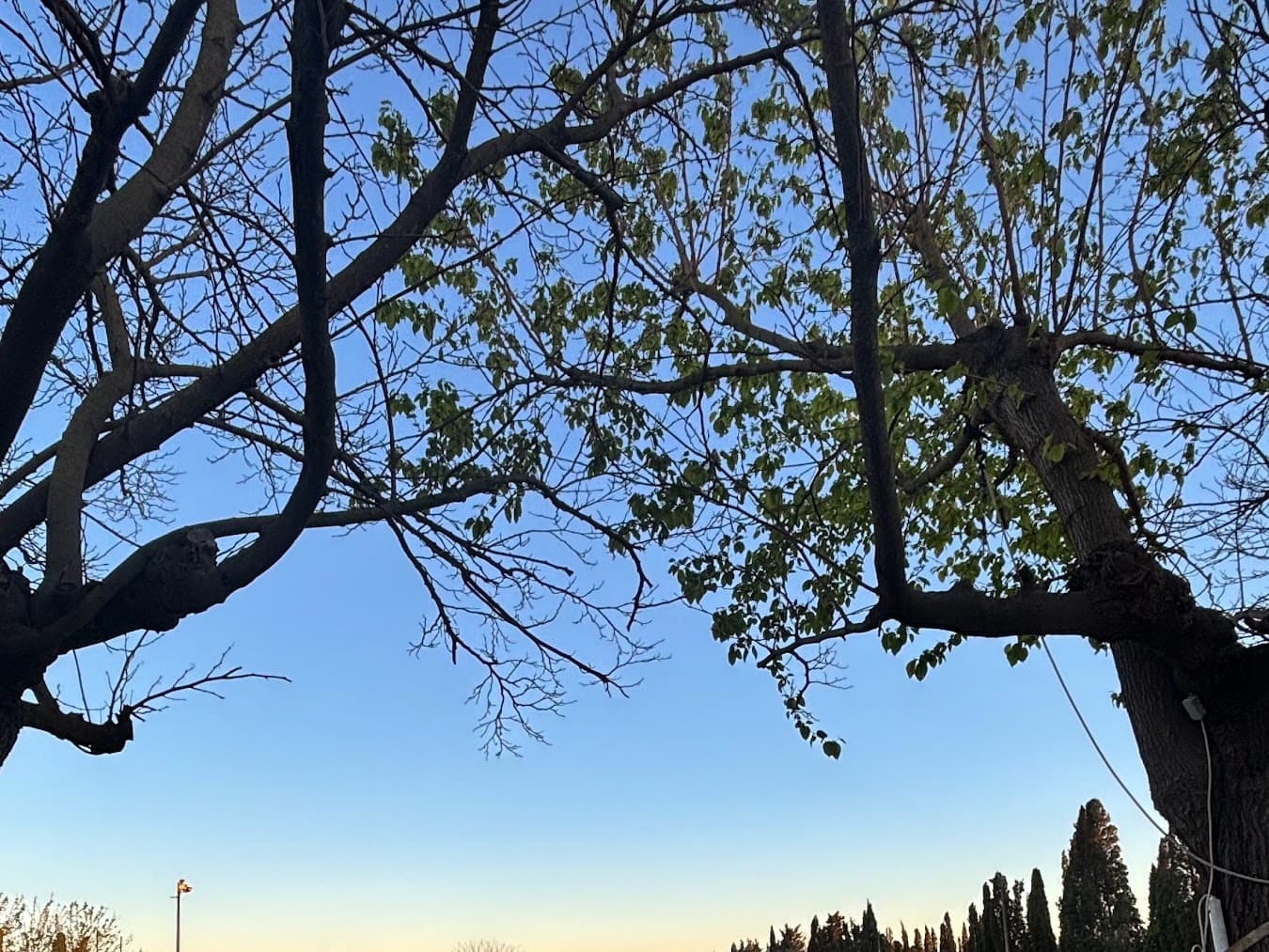 Foto de Pol Darnés