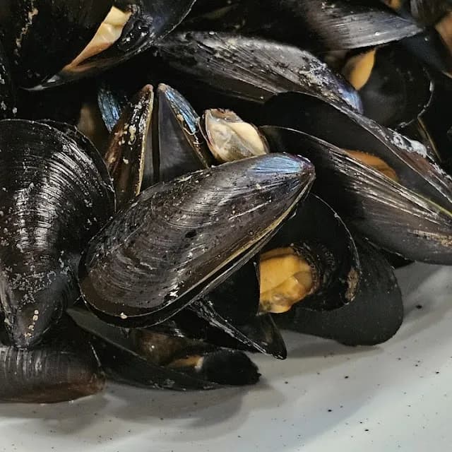 Best Mussels in Girona