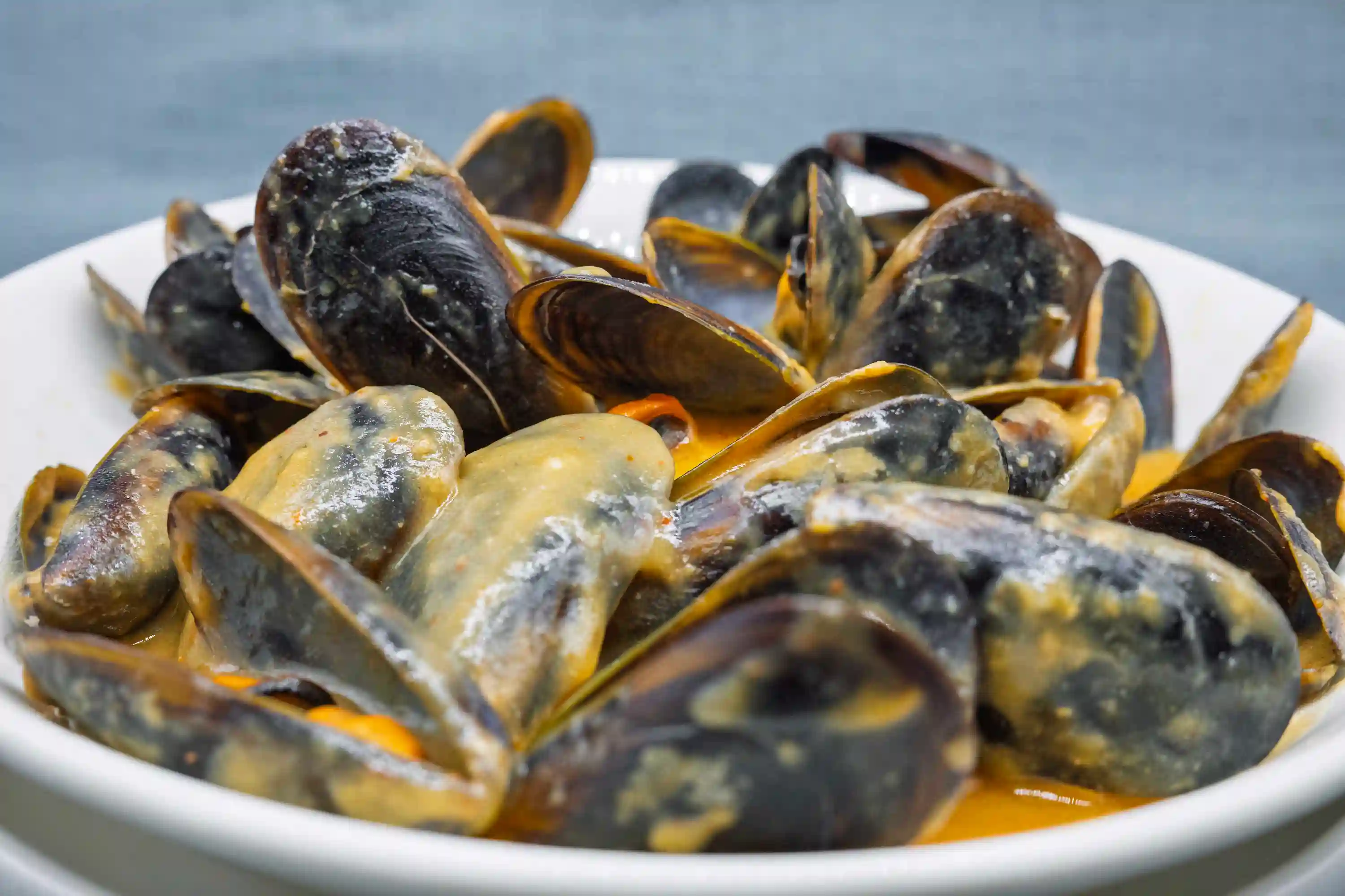 mejillones lasana pescado al horno menu mediodia restaurante eixample figueres tapas marisco
