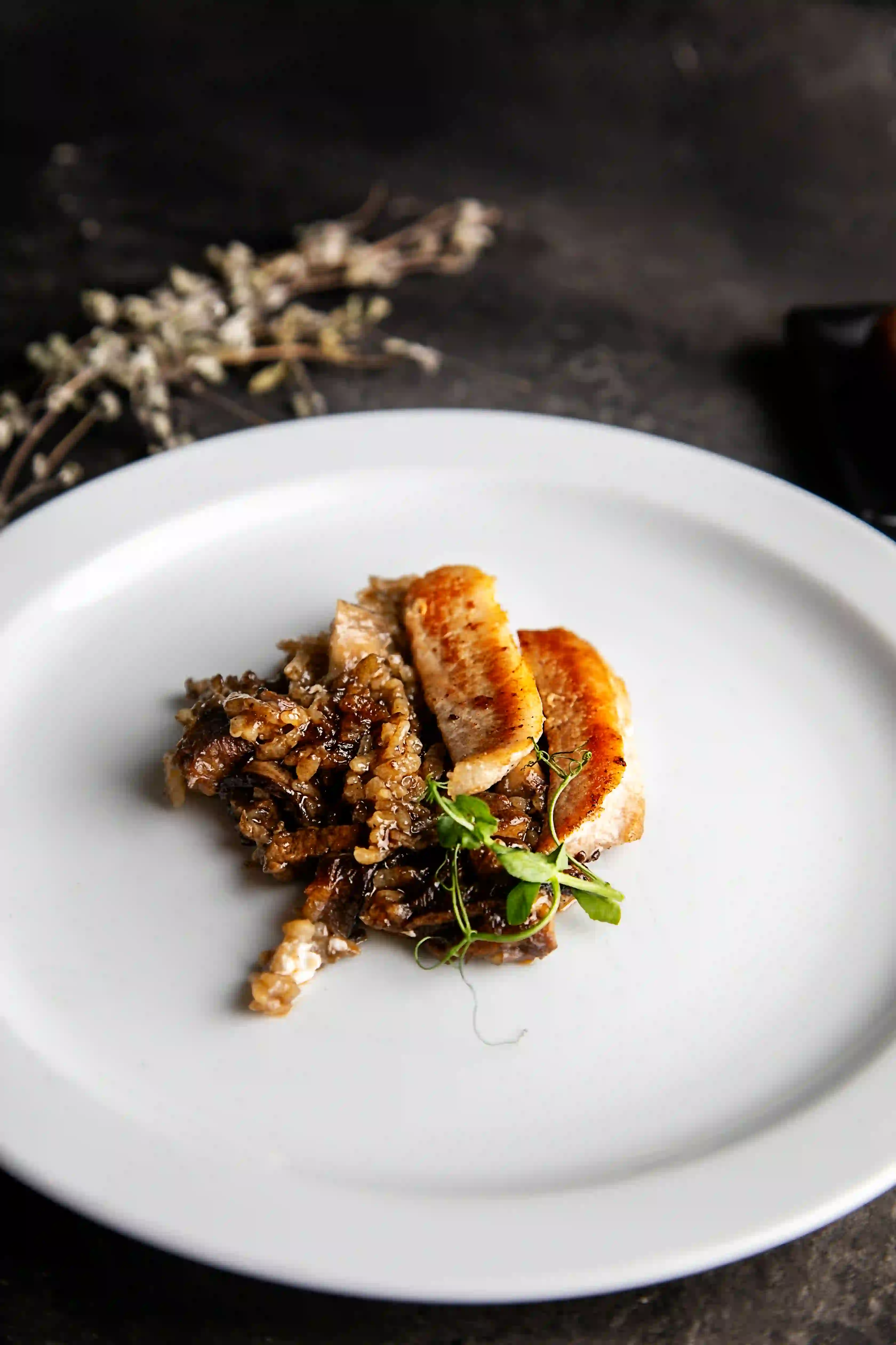 arroz meloso de setas con panceta restaurante donde tito menu mediodia poblenou barcelona cocina catalana